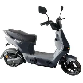 Electric Bike LT 4209 A1 with LiFePO4Mn Battery 48V 30Ah, side view. islagrande.coml