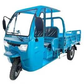 Electric cargo tricycle C-800 A (Gel PB-60V 80Ah battery). islagrande.com