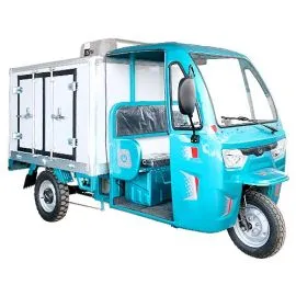 Front part of a C800 Electric Cargo Tricycle with Refrigerated Box. islagrande.com