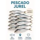 20 kg of high-quality frozen jack mackerel, guaranteed freshness. Islagrande.com