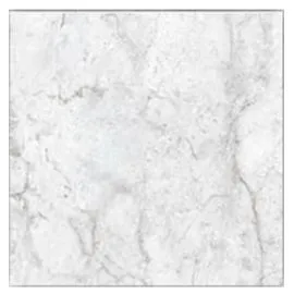 PORCELAIN tile box with 4 slabs de 60x60cm COSA NICKEL (1.44m2/caja)